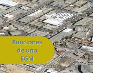 Descubre las múltiples funciones de una Entidad de Gestión y Modernización EGM