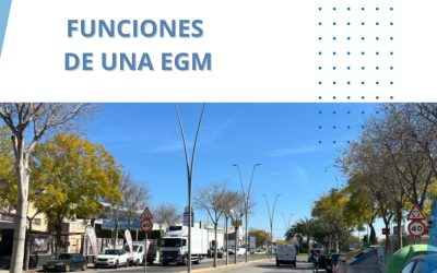 Funciones de una Entidad de Gestión y Modernización EGM